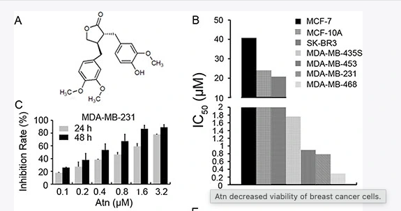 Arctigenin · Cell viability and anticancer activity