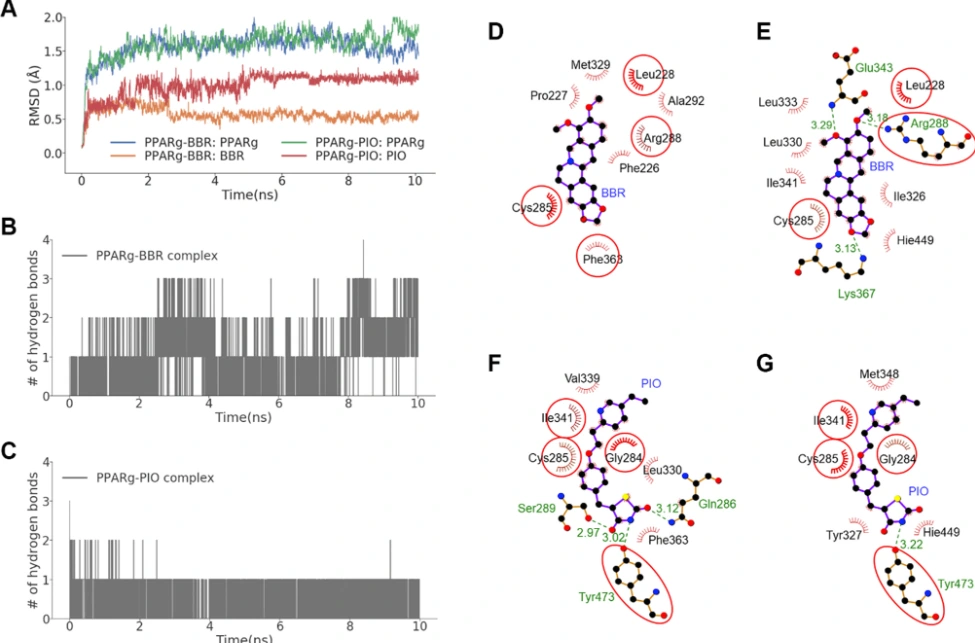 Experimental profiles and molecular interaction analysis
