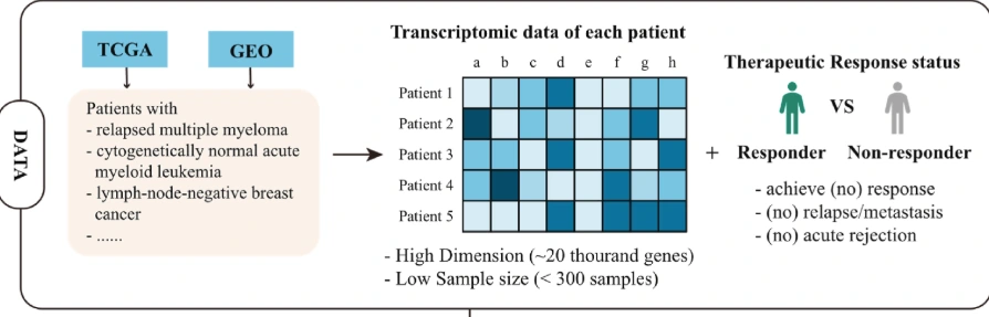 Gene expression representations for therapeutic response prediction