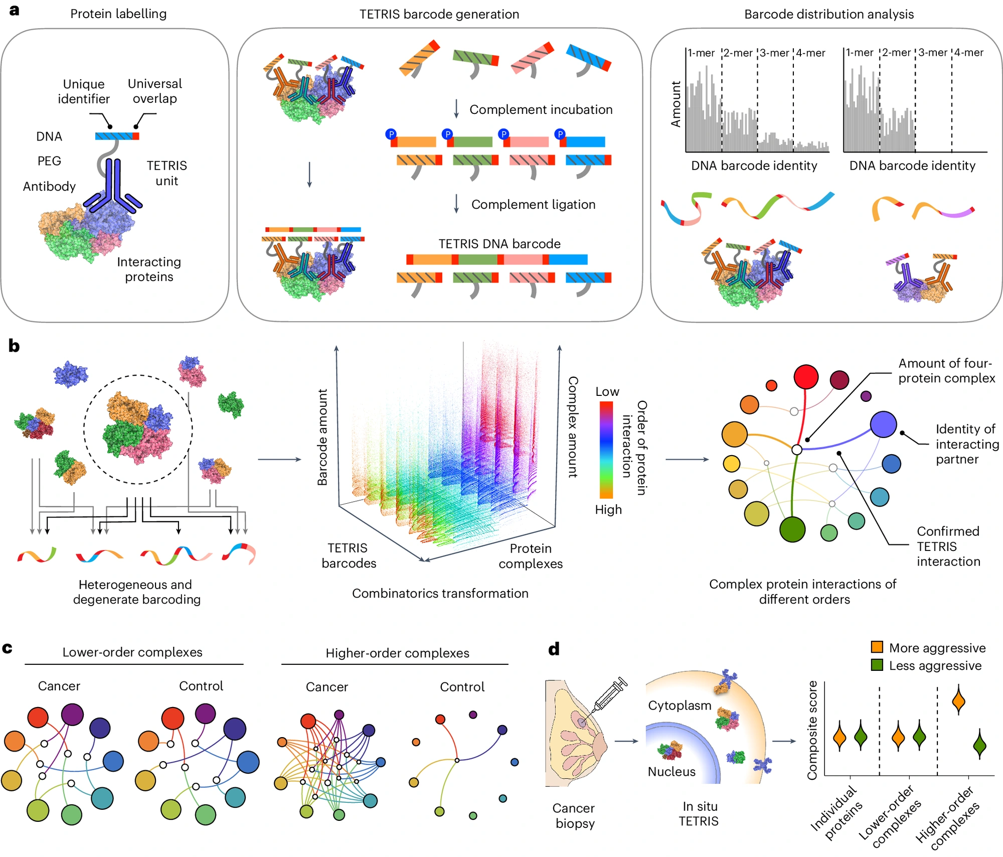 Figure 1 · Mapping higher-order protein interactions with DNA barcodes
