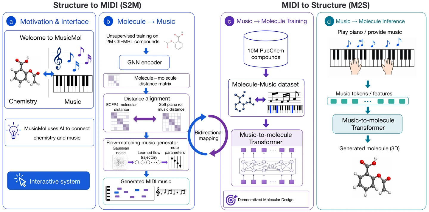 MusicMol framework: bidirectional molecule-to-music generation and music-to-molecule decoding